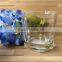 scotch whisky glass