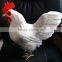 wholesale souvenir with rooster easter decoration