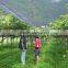 High effective organic fertilizers for all types of crops and soil