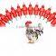 2016 Top quality Made in china Stainless chicken poultry feeders drinkers
