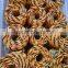 Black and Yellow Tiger rope, Tiger cord