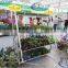 197 Display Flower Trolley 2014 Display Flower Trolley Garden Tool cart