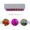 Ebay Best Selling 300w Full Spectrum Led Grow Light for Flowering and Fruiting