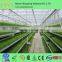 greenhouse vegetable NFT hydroponic systems for sale