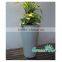 2016 new design Garden supplies attractive colorful plastic flower pot