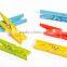 Simple Colorful Clothes Plastic Pegs