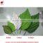 Best quality real touch Malin Leaf Simulation Leaves
