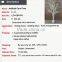 white tree wedding decoration artificial white dry tree branch coral wedding tree for centerpieces