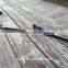 Wood Bow/Scorpius Laminated Bows
