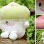 Lovely Supplies Automotive Interior Accessories Creative Furnishing Articles Mushroom Plush Toys of Doll Girl Doll Car Decoratio