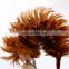 rattan Feather fluffy duster goood quality chicken feather dusters