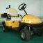 Top designer club GolfCart, Single Seater GolfCar with Curtis System and 36V DC Motor!