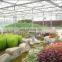 2018Hot Sale MAP Agricultural/Commercial Plastic Greenhouse