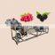 orange lemon carrot cleaner machine fruits and vegetables cleaning equipment vegetable washer