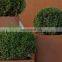 Corten Steel Fence ASTM A242 Corten Steel Plate