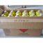 1L Mapp-pro Cylinder Little tank For Mapp Gas EN12205