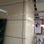 Commercial Summer Model Double Curved Aluminum Veneer Stone Pattern