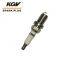 Auto Iridium Spark Plug EIX-BKR5 for BMW