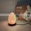 Wholesale LED Flame usb Himalayan Salt Lamp Light With Wood Base Night Light