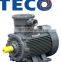 TECO brand 0.75kW three phase explosion proof low voltage electric motor
