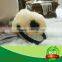 100% lambskin wool ear muff best selling winter man or woman china supplier