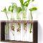 Modern Flower Bud Vase Wall Hanging Glass wood Planter Plant