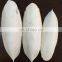 Wholesale bird feed pet cuttlebon toy cuttlefish-bone price