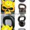 Custom Painting Coated 20kg Kettlebell Men's Fitness Cast Iron Kettlebell with Logo