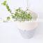 Hot Sale Hanging Cotton Pot, Natural Home Decor, Hanging Planter Kids Room Storage Vietnam Supplier