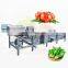 Washer Price Olive Apple 100 Kg/H Capacity Dragon Leaf Fruit Continuous Avocado And Mango Wash Machine With Lifter