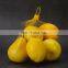 Wholesale Biodegradable Pe Monofilament 2 Kg Potato Net Bag Purple Tiny Onion Mesh Bag for Sale for Clams