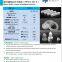 boron nitride ceramic