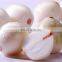Large capacity onion garlic  grading machine processing line
