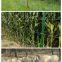 Grassland Fence/field fence/?cattle fence/annimal fence/sheep fence/?wire mesh fence/	Woven Wire Field Fence