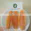DRIED MANGO - HIGH QUALITY FROM VIETNAM