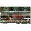 Long Window Bird Feeder For Small and Large Birds Enjoy Viewing Birds in the House