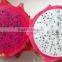 BEST QUALITY DRAGON FRUIT : RED AND WHITE KINDS