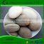 glow in the dark plastic pebble for decoration