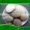 Top quality garden tools supplier popular black pebble , pebble floor tile , garden pebble stone