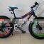 china supplier fat bike snow bike with new model fat bike tire (PW-FT20007)