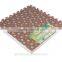 EVA Foam Interlocking Flooring Mat