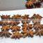 Chinese Dried Star Aniseed