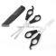 Plastic Handle Barber Thinning Scissors Set / Barber Scissors & Thinning Scissors Shears Set