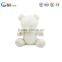 Newest Hot Selling High Standard Custom Soft Plush Toy Wholesale Recordable Teddy Bear