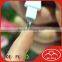 Nail Trimmer File / Fingernail File with Cuticle Trimmer