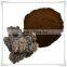 Natural OPC 95% Low price Pine bark extract