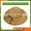 Free Sample Fashion Lady Beach Sea Straw Hat