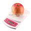 Home & Garden kitchen scale food scale