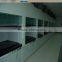 Corrosive Resistant Galvanized Steel Biology Laboratory Chemical Fume Cabinet
