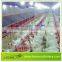 LEON series factory manufactory poultry control shed equipment